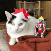 ヒメ日記 2025/05/22 10:54 投稿 ほのか 妻天 日本橋店