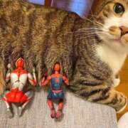 ヒメ日記 2025/05/24 11:15 投稿 ほのか 妻天 日本橋店