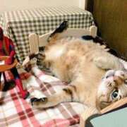 ヒメ日記 2025/05/25 11:03 投稿 ほのか 妻天 日本橋店