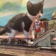 ヒメ日記 2025/05/28 10:24 投稿 ほのか 妻天 日本橋店