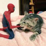 ヒメ日記 2025/05/29 10:44 投稿 ほのか 妻天 日本橋店