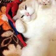 ヒメ日記 2025/06/01 10:52 投稿 ほのか 妻天 日本橋店