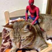 ヒメ日記 2025/06/03 10:52 投稿 ほのか 妻天 日本橋店