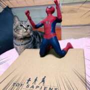 ヒメ日記 2025/06/04 11:14 投稿 ほのか 妻天 日本橋店