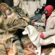 ヒメ日記 2025/06/07 10:53 投稿 ほのか 妻天 日本橋店