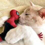 ヒメ日記 2025/06/11 10:50 投稿 ほのか 妻天 日本橋店