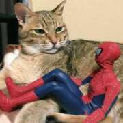 ヒメ日記 2025/06/12 10:56 投稿 ほのか 妻天 日本橋店