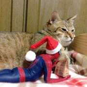 ヒメ日記 2025/06/14 10:33 投稿 ほのか 妻天 日本橋店