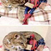 ヒメ日記 2025/06/15 11:03 投稿 ほのか 妻天 日本橋店