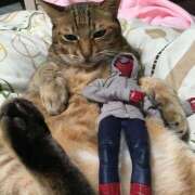 ヒメ日記 2025/06/18 10:51 投稿 ほのか 妻天 日本橋店