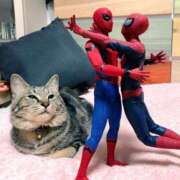 ヒメ日記 2025/06/19 10:54 投稿 ほのか 妻天 日本橋店