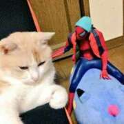 ヒメ日記 2025/06/21 11:02 投稿 ほのか 妻天 日本橋店