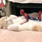 ヒメ日記 2025/06/22 11:00 投稿 ほのか 妻天 日本橋店