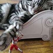 ヒメ日記 2025/06/24 10:45 投稿 ほのか 妻天 日本橋店