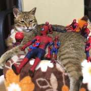 ヒメ日記 2025/06/25 10:53 投稿 ほのか 妻天 日本橋店