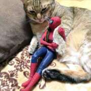 ヒメ日記 2025/06/27 12:41 投稿 ほのか 妻天 日本橋店