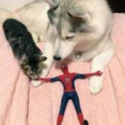 ヒメ日記 2025/06/28 10:48 投稿 ほのか 妻天 日本橋店