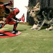 ヒメ日記 2025/06/29 10:36 投稿 ほのか 妻天 日本橋店