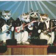 ヒメ日記 2025/07/03 11:05 投稿 ほのか 妻天 日本橋店