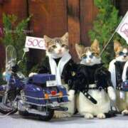 ヒメ日記 2025/07/08 10:38 投稿 ほのか 妻天 日本橋店