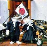 ヒメ日記 2025/07/09 10:52 投稿 ほのか 妻天 日本橋店