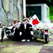 ヒメ日記 2025/07/10 11:02 投稿 ほのか 妻天 日本橋店