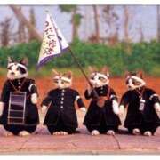 ヒメ日記 2025/07/12 10:45 投稿 ほのか 妻天 日本橋店