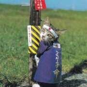 ヒメ日記 2025/07/15 10:59 投稿 ほのか 妻天 日本橋店