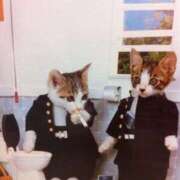 ヒメ日記 2025/07/16 11:01 投稿 ほのか 妻天 日本橋店