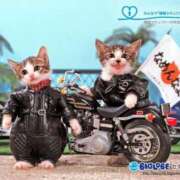 ヒメ日記 2025/07/20 10:46 投稿 ほのか 妻天 日本橋店