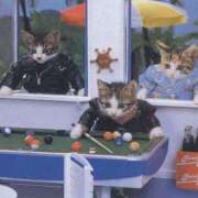 ヒメ日記 2025/07/23 11:04 投稿 ほのか 妻天 日本橋店