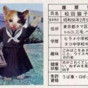 ヒメ日記 2025/07/31 11:04 投稿 ほのか 妻天 日本橋店