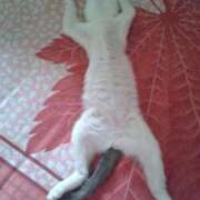 ヒメ日記 2025/08/02 10:56 投稿 ほのか 妻天 日本橋店