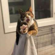 ヒメ日記 2025/08/03 10:54 投稿 ほのか 妻天 日本橋店