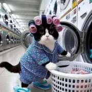 ヒメ日記 2025/08/05 10:52 投稿 ほのか 妻天 日本橋店