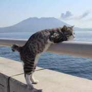 ヒメ日記 2025/08/11 10:41 投稿 ほのか 妻天 日本橋店