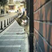 ヒメ日記 2025/08/12 12:47 投稿 ほのか 妻天 日本橋店