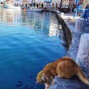 ヒメ日記 2025/08/17 10:28 投稿 ほのか 妻天 日本橋店