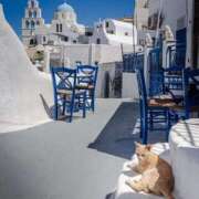 ヒメ日記 2025/08/19 12:41 投稿 ほのか 妻天 日本橋店