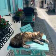 ヒメ日記 2025/08/20 10:52 投稿 ほのか 妻天 日本橋店