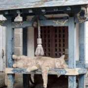 ヒメ日記 2025/08/21 11:00 投稿 ほのか 妻天 日本橋店