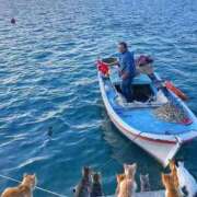 ヒメ日記 2025/08/23 10:53 投稿 ほのか 妻天 日本橋店