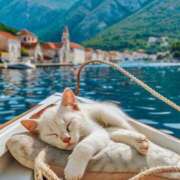 ヒメ日記 2025/08/26 10:54 投稿 ほのか 妻天 日本橋店