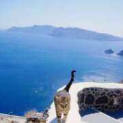 ヒメ日記 2025/08/27 10:55 投稿 ほのか 妻天 日本橋店