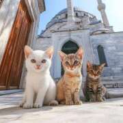 ヒメ日記 2025/08/28 10:56 投稿 ほのか 妻天 日本橋店