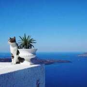 ヒメ日記 2025/08/30 10:52 投稿 ほのか 妻天 日本橋店