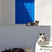 ヒメ日記 2025/08/31 10:57 投稿 ほのか 妻天 日本橋店