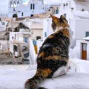 ヒメ日記 2025/09/02 10:57 投稿 ほのか 妻天 日本橋店