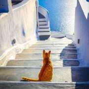 ヒメ日記 2025/09/03 10:53 投稿 ほのか 妻天 日本橋店