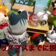 ヒメ日記 2025/09/15 12:48 投稿 ほのか 妻天 日本橋店